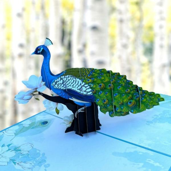 Asian Oriental Peacock White Magnolia Pop Card  |   Animals