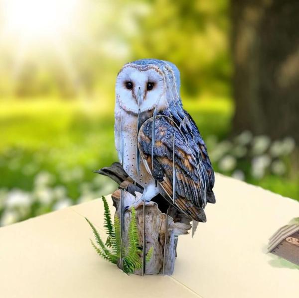 Handmade Barn Owl Bird 3D Pop Up Greeting Card  |   Animals