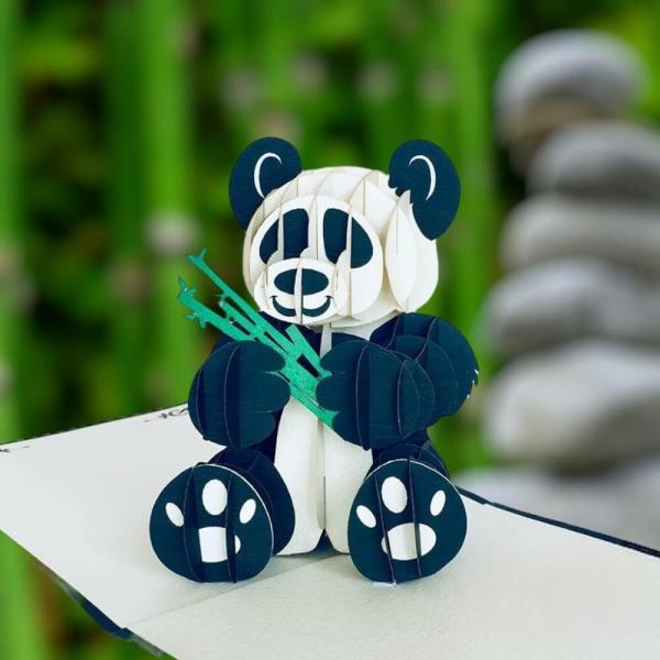 Handmade Panda Bear 3D Pop Up Greeting Card  |   Animals