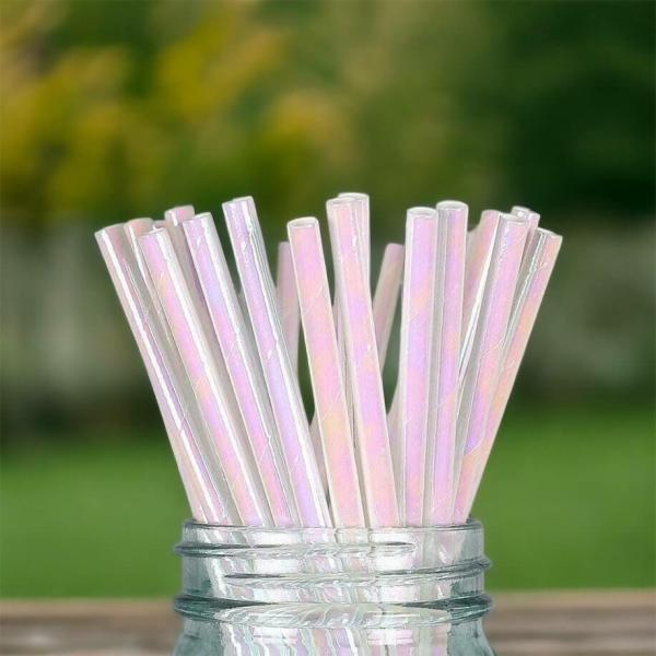 Iridescent Paper Straws 20Pk  |   Stainless Steel Straws