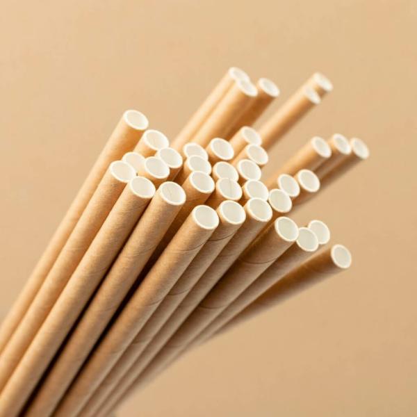 Kraft Paper Straws 20Pk  |   Drinking Straws