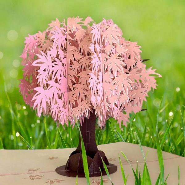 Pink Japanese Maple Tree 3D Pop Up Card  |   Valentine’s Day