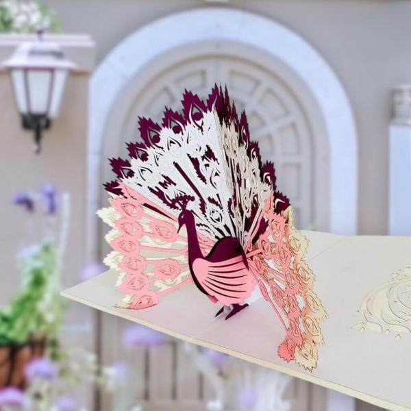 Pink Peacock Pop Up Greeting Card – White Cover  |   Housewarming