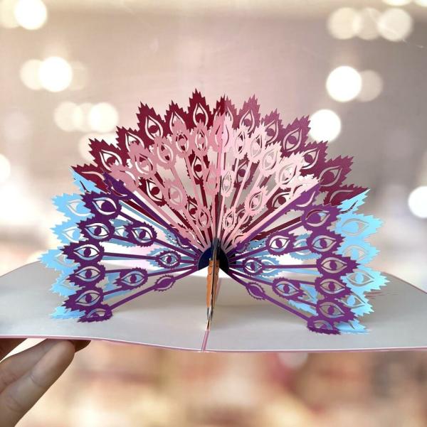 Rainbow Peacock Pop Up Greeting Card – Pink Cover  |   Animals