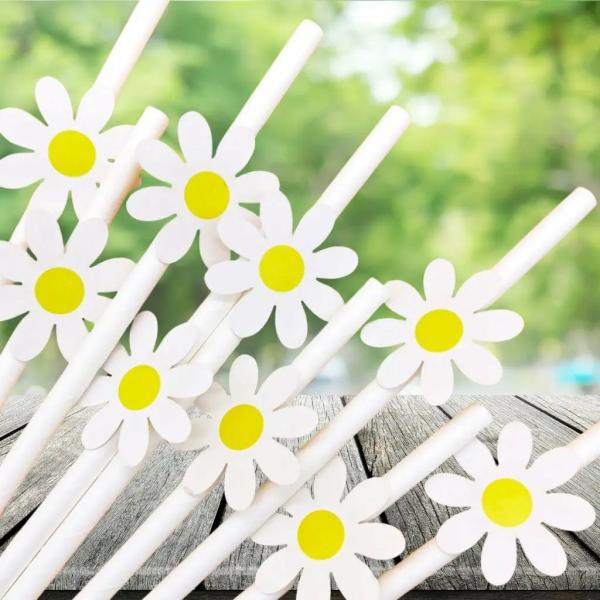 White Daisy Paper Straws 10Pk  |   Drinking Straws